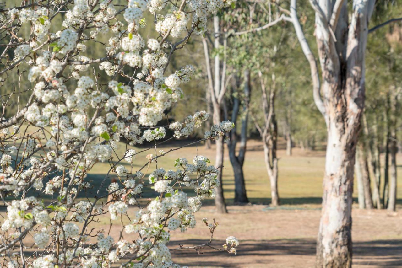 Thistle Hill Guesthouse - Walk To Many Wineries And Restaurants Pokolbin Exteriér fotografie
