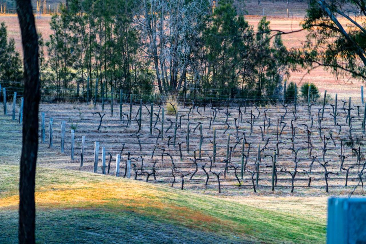 Thistle Hill Guesthouse - Walk To Many Wineries And Restaurants Pokolbin Exteriér fotografie